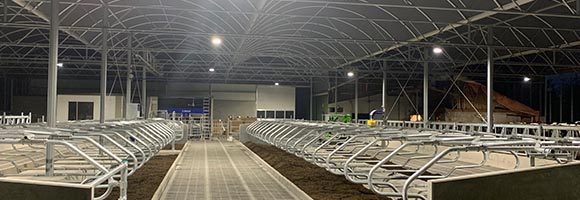 Van de Beerecamp Elektrotechniek – stalverlichting Verlichting in stal